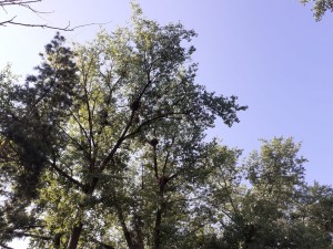 Георгий Ковалевский: есть проблемы – будем искать решения