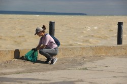В экологическом субботнике приняли участие 250 человек
