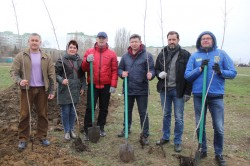 Озеленение квартала В-9: как в Волгодонске прошел День древонасаждения