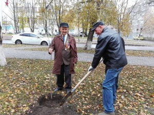 На бульваре Тягливого посадили молодые клены
