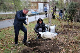 Плюс 25: в сквере Депутатов высадили молодые деревья 