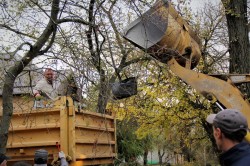 Плюс 25: в сквере Депутатов высадили молодые деревья