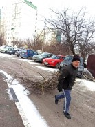Волгодонцы устраняют последствия циклона: на общегородской субботник вышли более тысячи  горожан