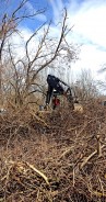 Коллектив Волгодонской городской Думы принял участие в уборке парка Победы