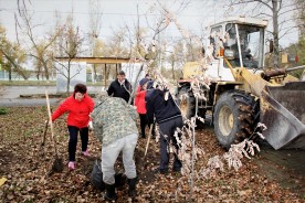 Плюс 25: в сквере Депутатов высадили молодые деревья 