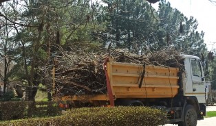 Коллектив Волгодонской городской Думы принял участие в уборке парка Победы