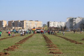 ДЕНЬ ДРЕВОНАСАЖДЕНИЯ В ВОЛГОДОНСКЕ