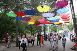 Мастер-классы, концерт, фейерверк: как отметили молодежный праздник