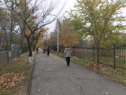 В избирательном округе №24, по инициативе депутата Волгодонской городской Думы, Бушнева Александра Анатольевича,  23 октября прошел субботник в микрорайоне.