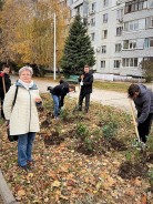 Готовимся к зиме: в Волгодонске завершились осенние субботники