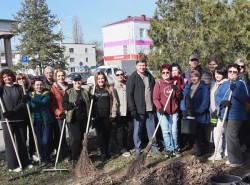 Принять участие в благоустройстве города может каждый: как проходит месячник чистоты в Волгодонске