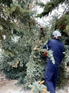 Спасибо за помощь! Депутат Волгодонской городской Думы Евгений Антонов выразил благодарность жителям округа за уборку территории 