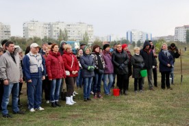 В День древонасаждения в Волгодонске высадили почти 3000 зеленых насаждений