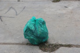 В экологическом субботнике приняли участие 250 человек