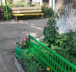 С КАЖДЫМ ГОДОМ КРАШЕ