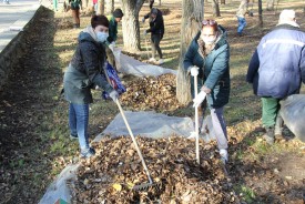Успели убрать до первого снега: помощники депутатов приняли участие в городском субботнике