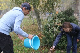 Волгодонские депутаты высадили рябины в День древонасаждений