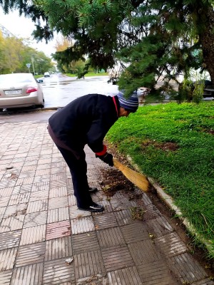 Округ 5 Осенний субботник