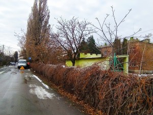 Округ 5 Дорога в детский сад должна быть безопасной.