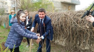 В 22-ОМ ОКРУГЕ ПРОВЕЛИ АКЦИЮ "ДЕРЕВО ПАМЯТИ"