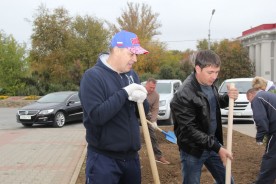 В Волгодонске прошел День древонасаждений