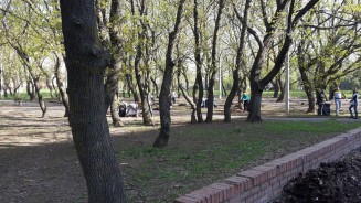 В Волгодонске «месячник чистоты» завершился массовым субботником