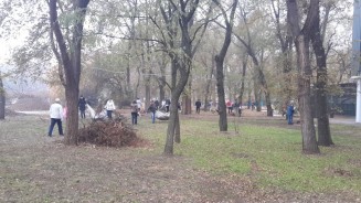 Городская Дума вышла на общегородской субботник