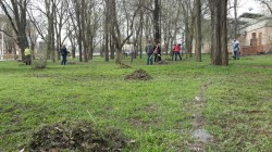 Сотрудники аппарата и депутаты Волгодонской городской Думы приняли участие в городском субботнике