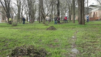Итоги общегородского субботника в парке Победы: вывезено 120 тонн мусора и прошлогодней листвы 