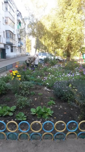 Субботник в округе № 2