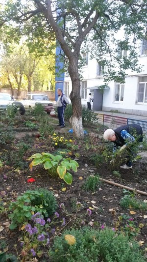 Субботник в округе № 2