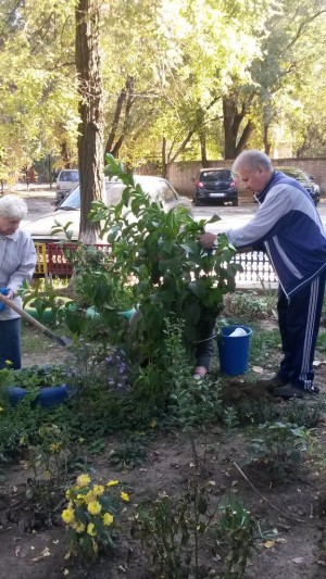 Субботник в округе № 2