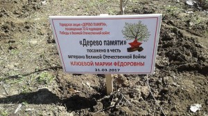 ОКРУГ №5. «Дерево памяти» в честь ветерана
