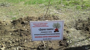 ОКРУГ №5. «Дерево памяти» в честь ветерана