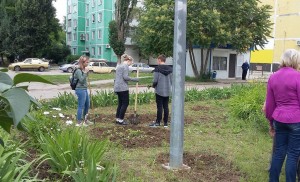 Трудовой десант в 16 округе