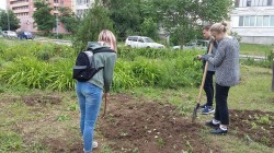 Трудовой десант в 16 округе