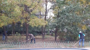 «Делу время ...»