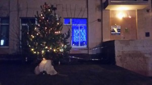 16 округ принял участие в городском конкурсе