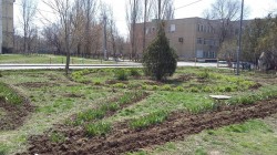 «…Приведи в порядок свою планету»