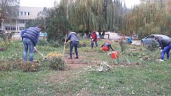 20 октября в округе №16 прошел субботник