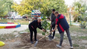 День древонасаждений в округе 16