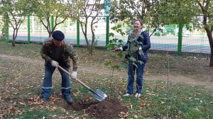 День древонасаждений в округе 16