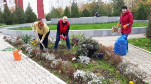 25 округ.  Осенний субботник  