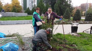 25 округ.  Осенний субботник  