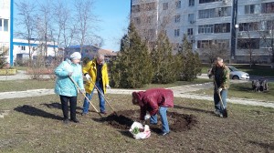 В округе №16 начался "Месячник по благоустройству"