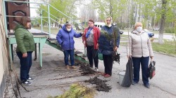 25 округ  День древонасаждения