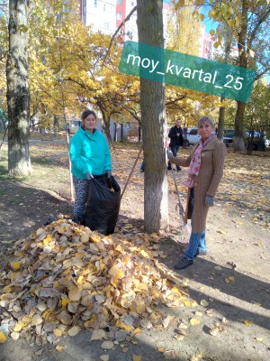 Округ №25. Субботник провели по плану.