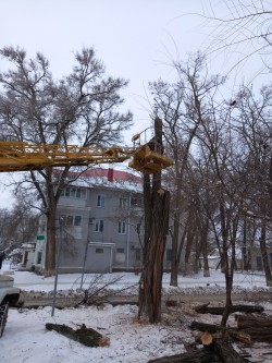 Первый округ  Начало трудового 2022 года