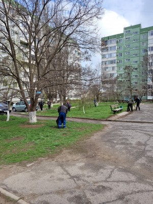 Субботник в избирательном округе № 20