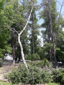 3 округ. Работа с обращениями граждан.